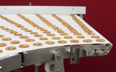 sorting conveyor system with belt and bins
